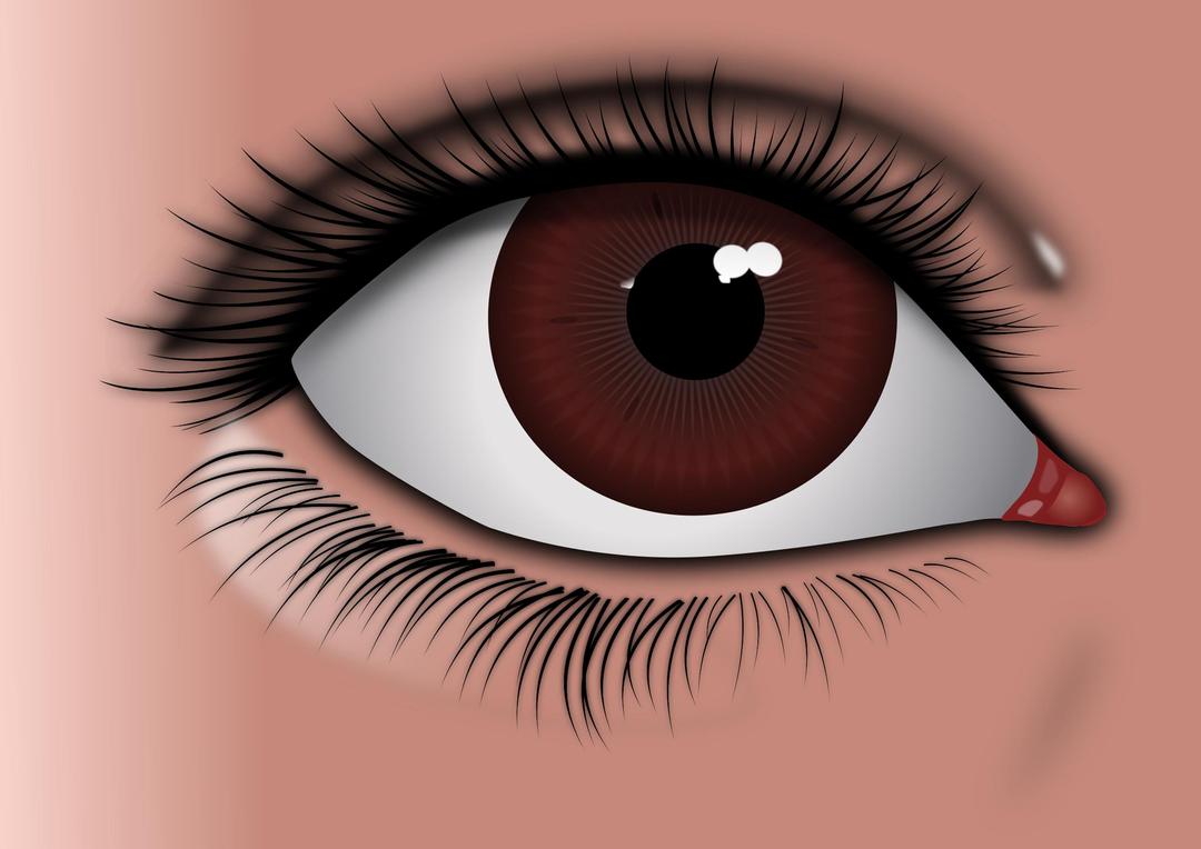 Realistic Brown Eye png transparent