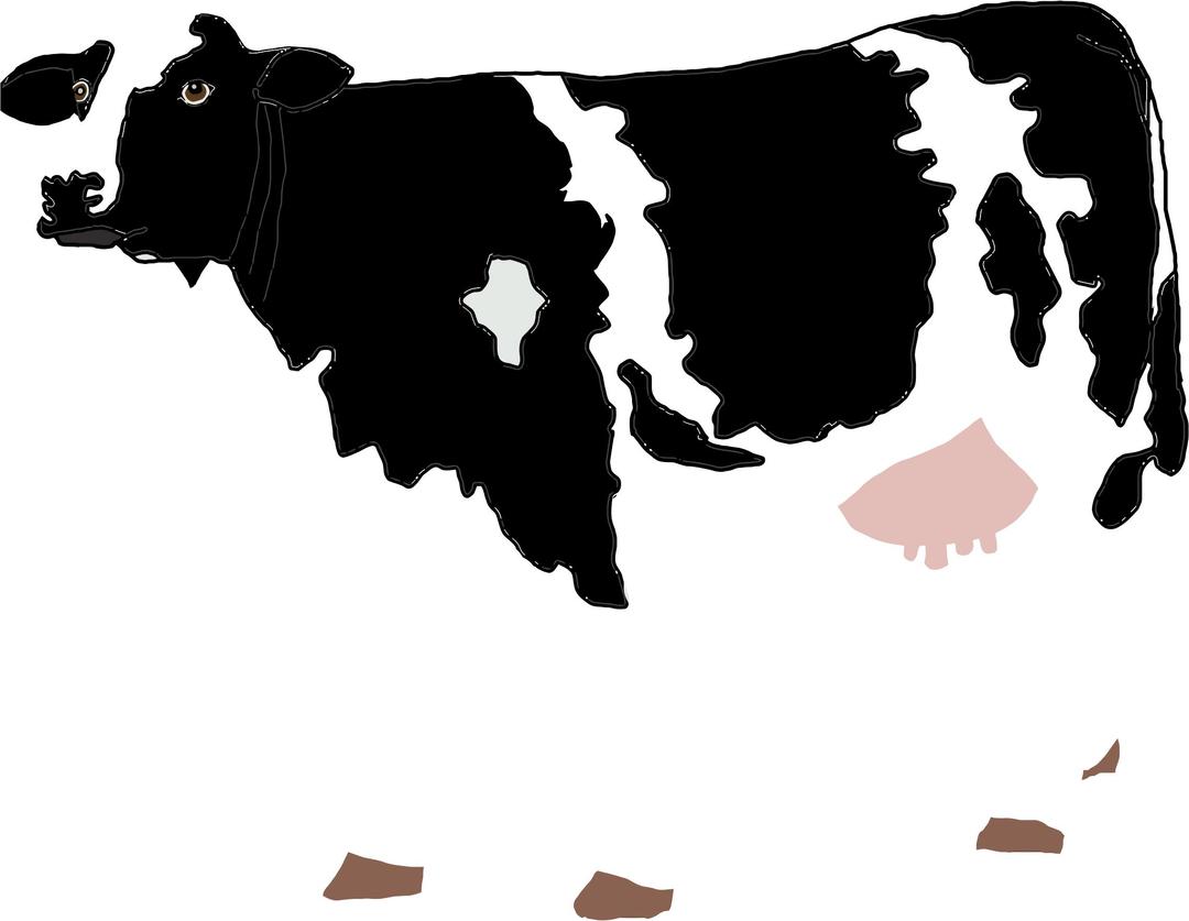 Realistic Cow Illustration png transparent