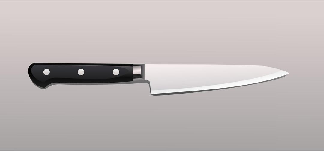 Realistic Kitchen Knife png transparent