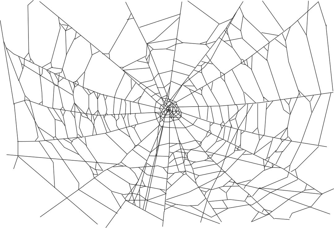 Realistic spider web png transparent