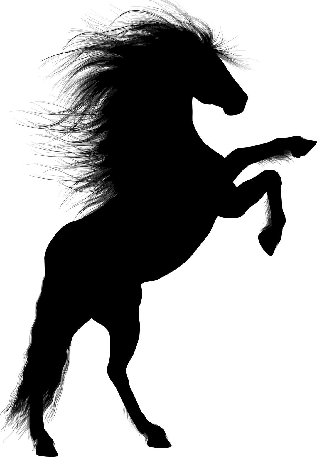 Rearing Stallion Silhouette 2 png transparent