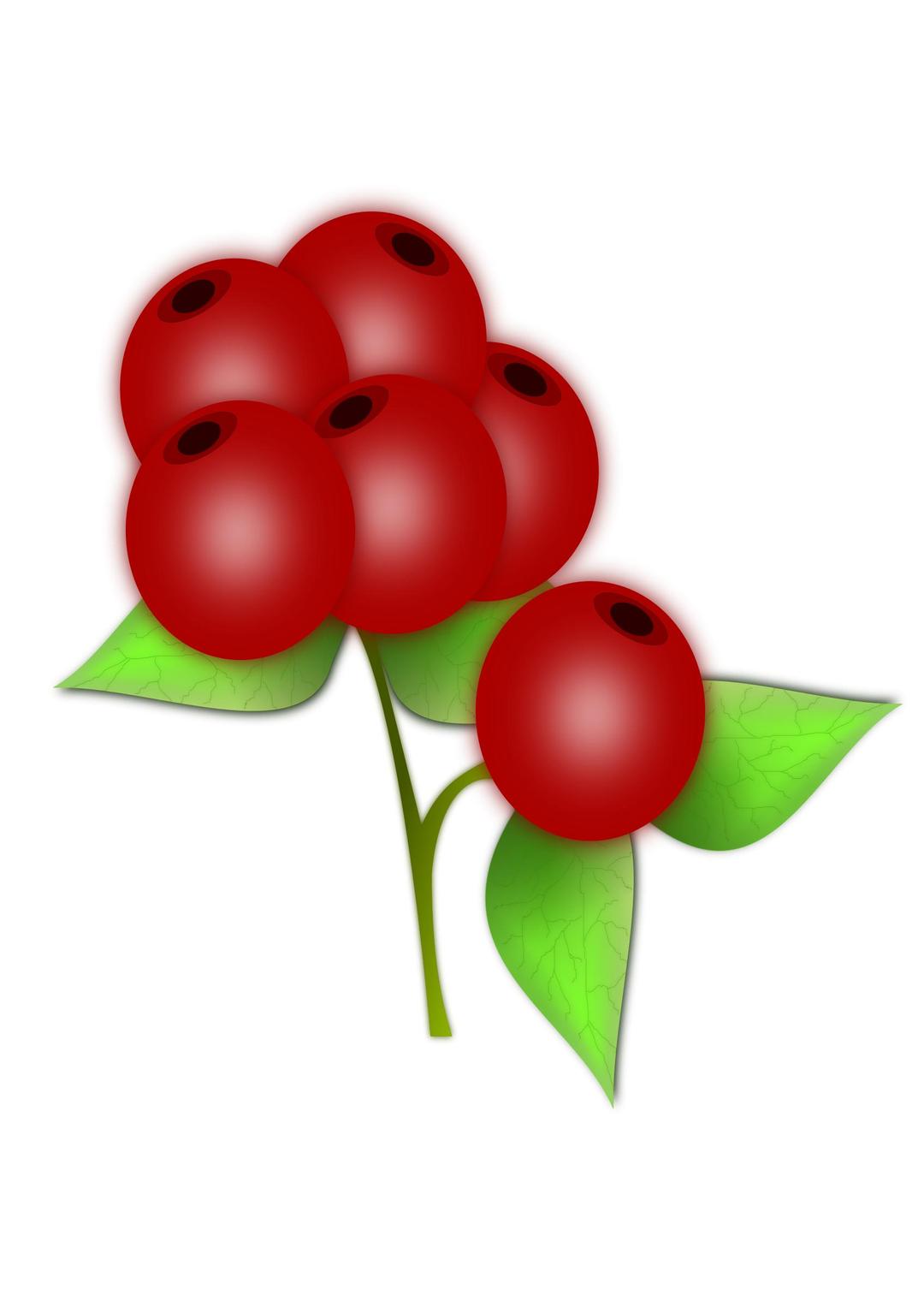 Red berry png transparent