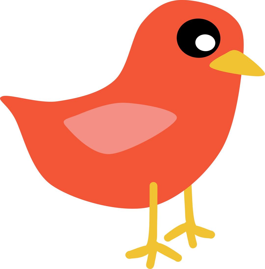 Red Bird png transparent