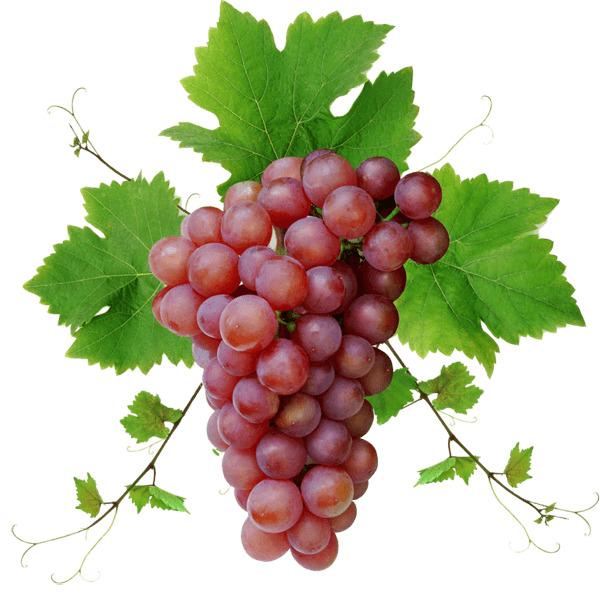 Red Grape With Leaves png transparent