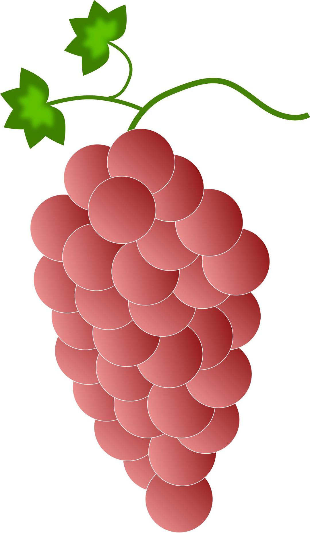 red grapes png transparent