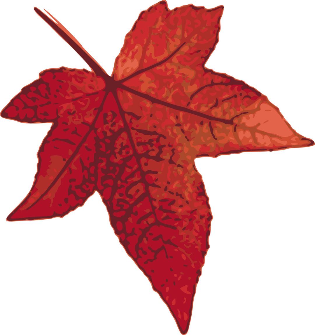 Red maple leaf png transparent