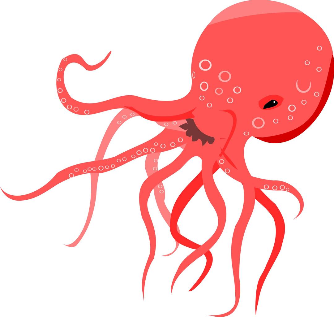 Red Octopus png transparent