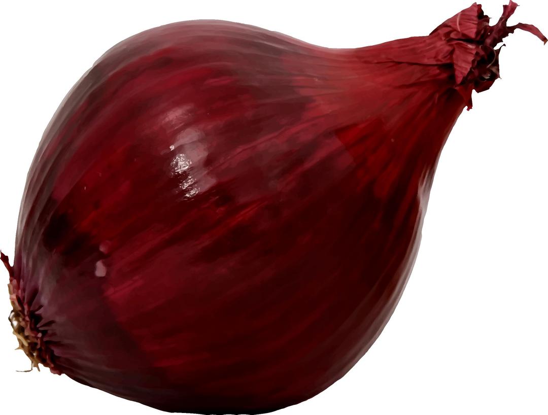 Red onion png transparent
