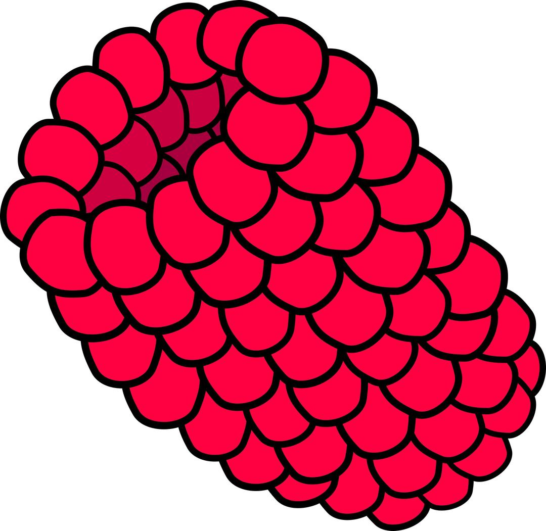 Red Raspberry png transparent