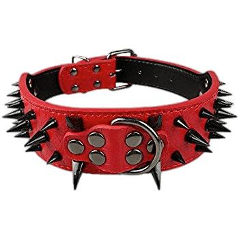 Red Spiked Dog Collar png transparent