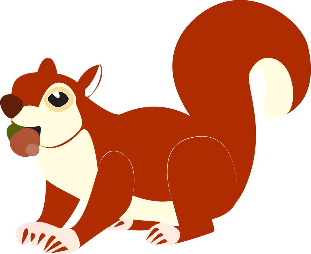 Red Squirrel png transparent