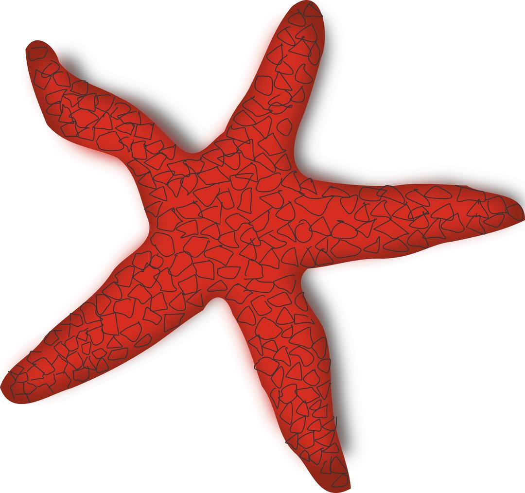red starfish png transparent