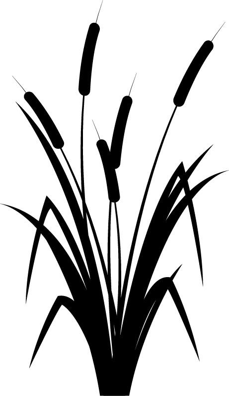 Reed Black and White png transparent