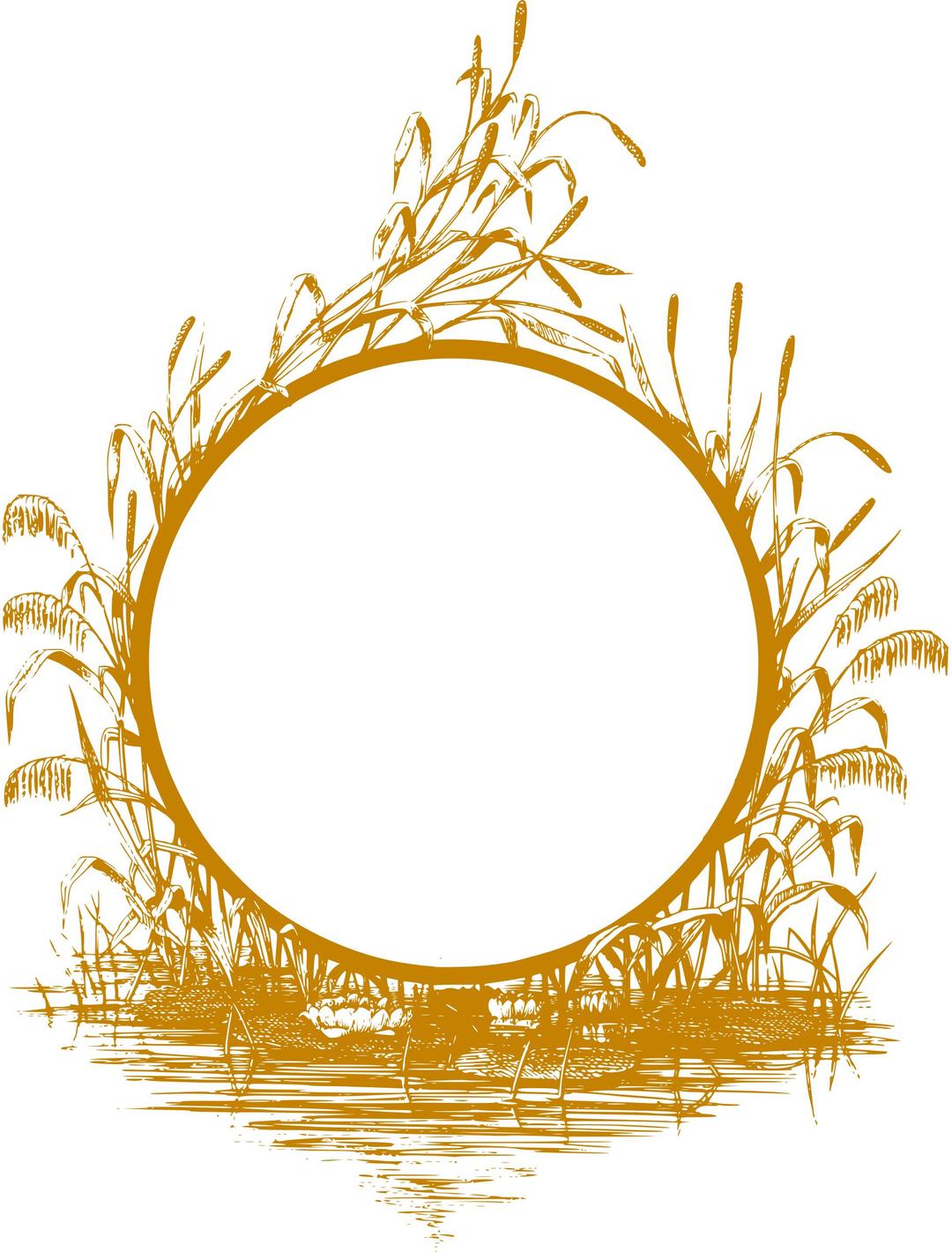 Reed frame (golden) png transparent