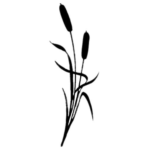 Reed Silhouette png transparent