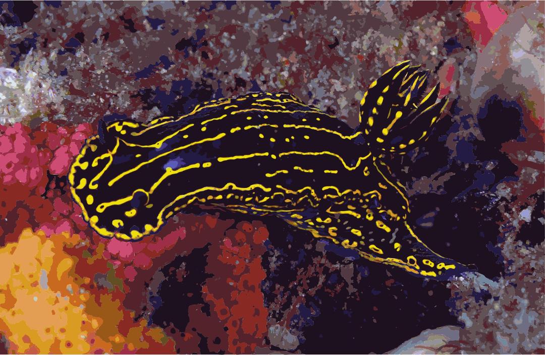 Regal Sea Goddess Nudibranch png transparent