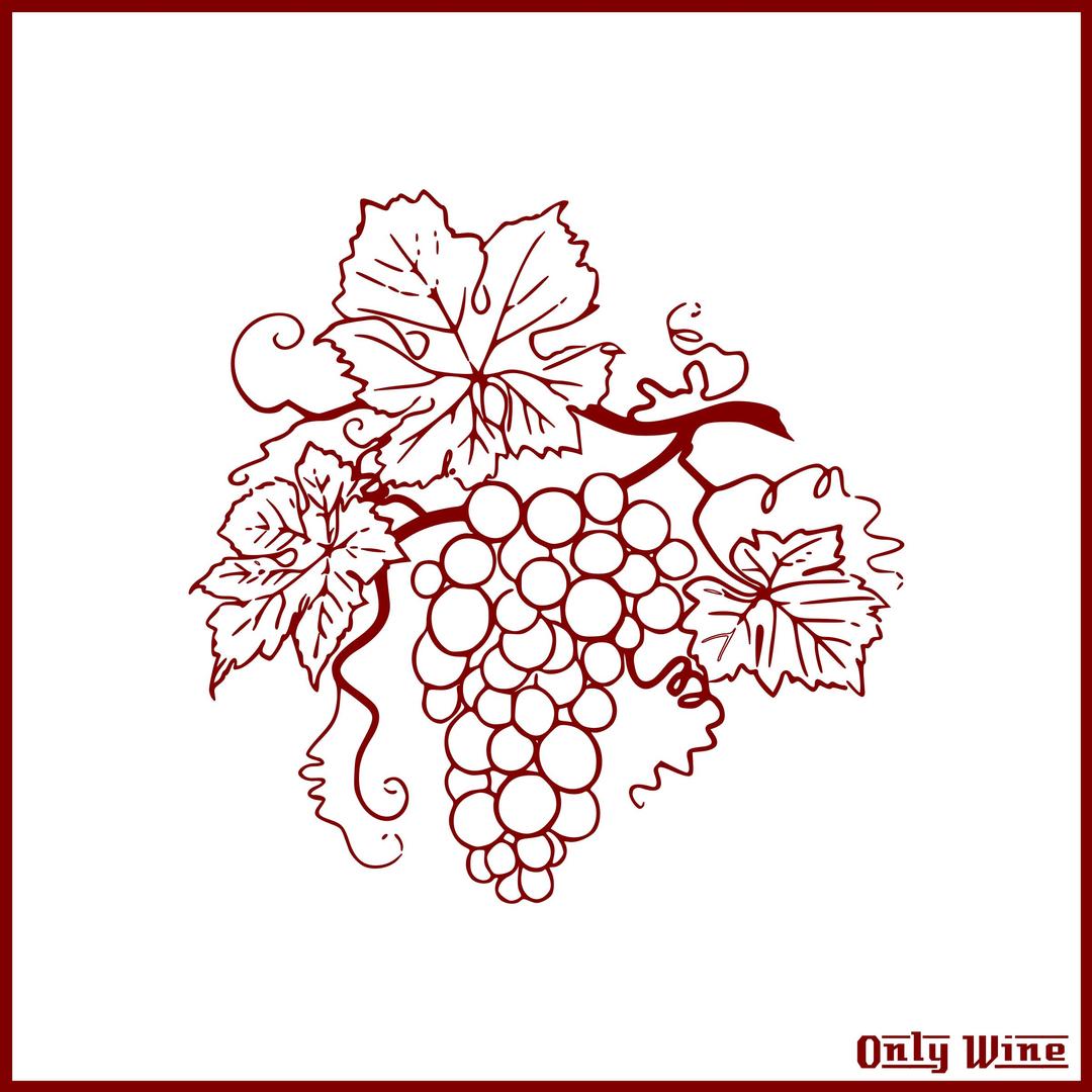 Remix of Only Wine 158 png transparent