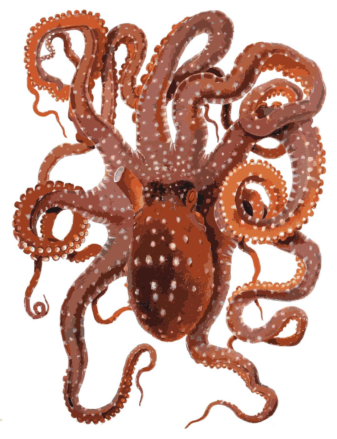 Request Cute Octopus png transparent