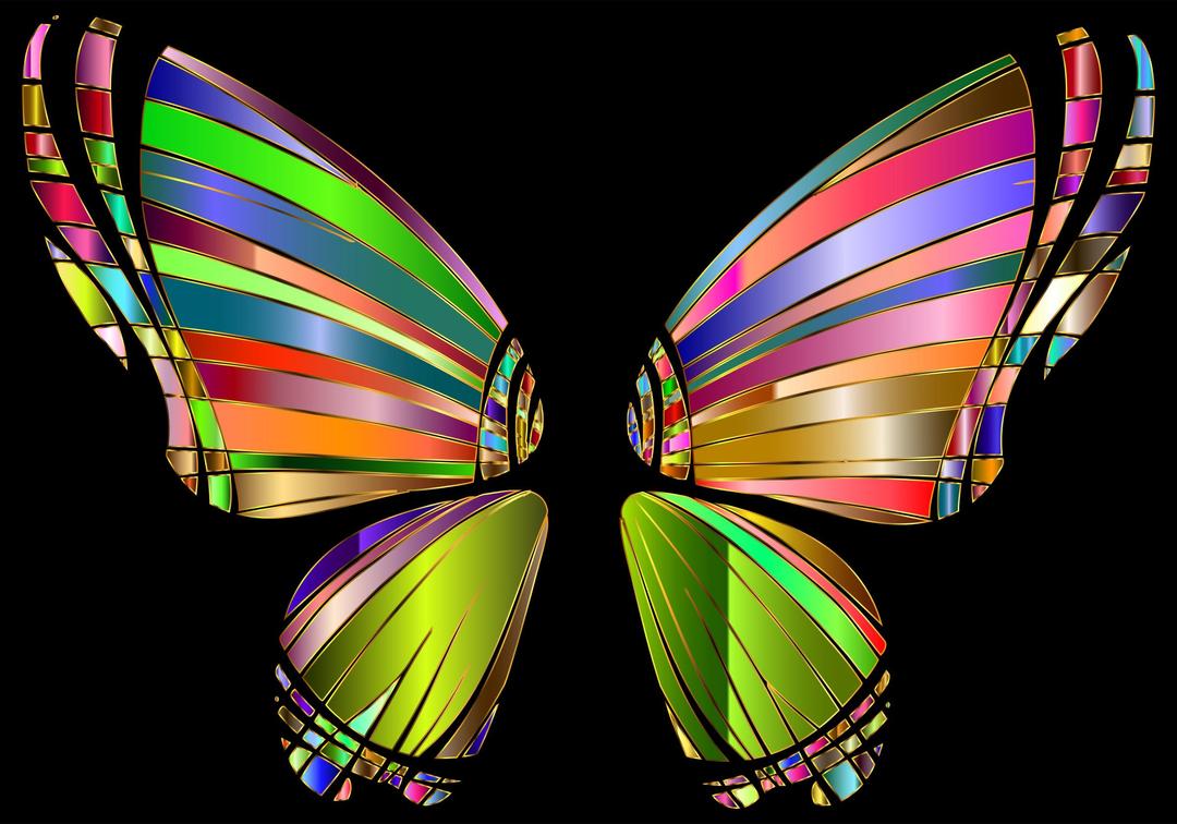 RGB Butterfly Silhouette 10 4 png transparent
