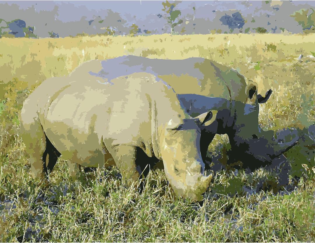 Rhinoceros in South Africa adjusted png transparent