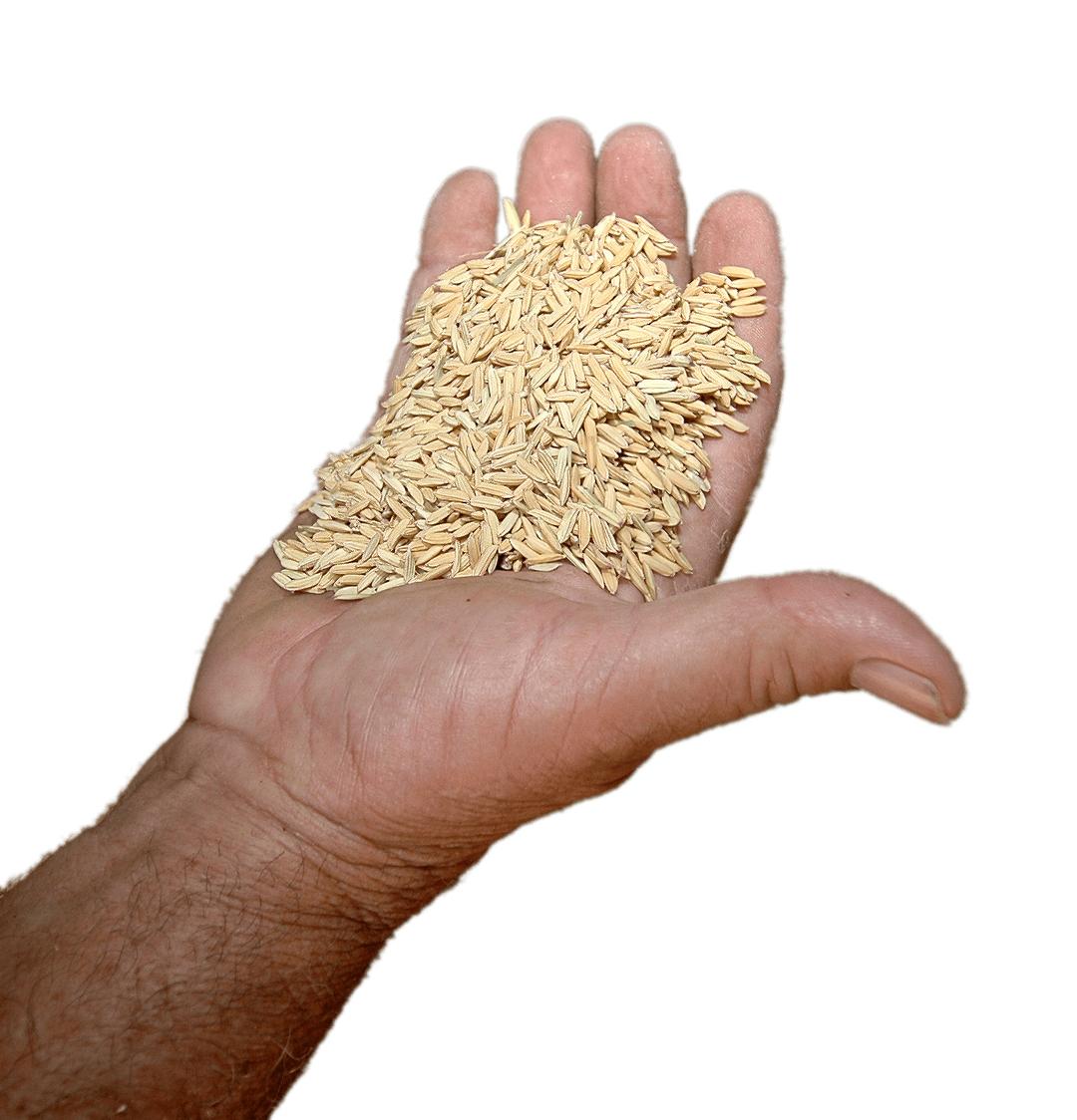Rice In Hand png transparent
