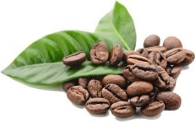 Roasted Coffee Beans and Leaves png transparent