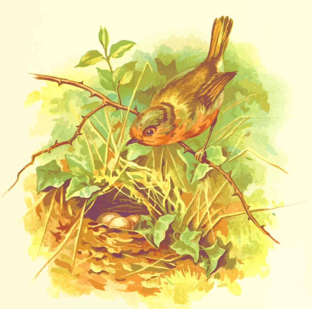 Robin's nest png transparent