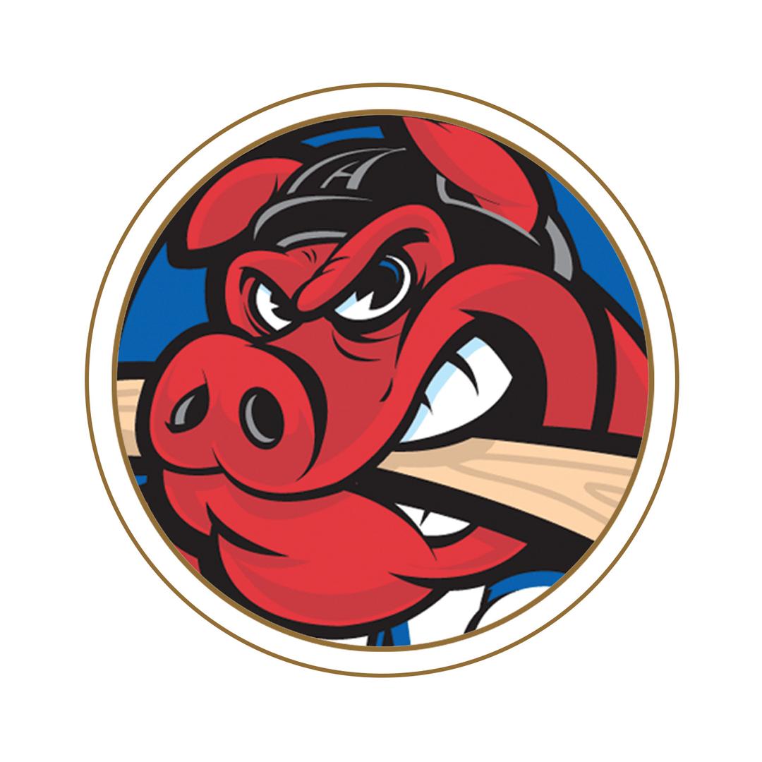 Rockford IceHogs Round Logo png transparent