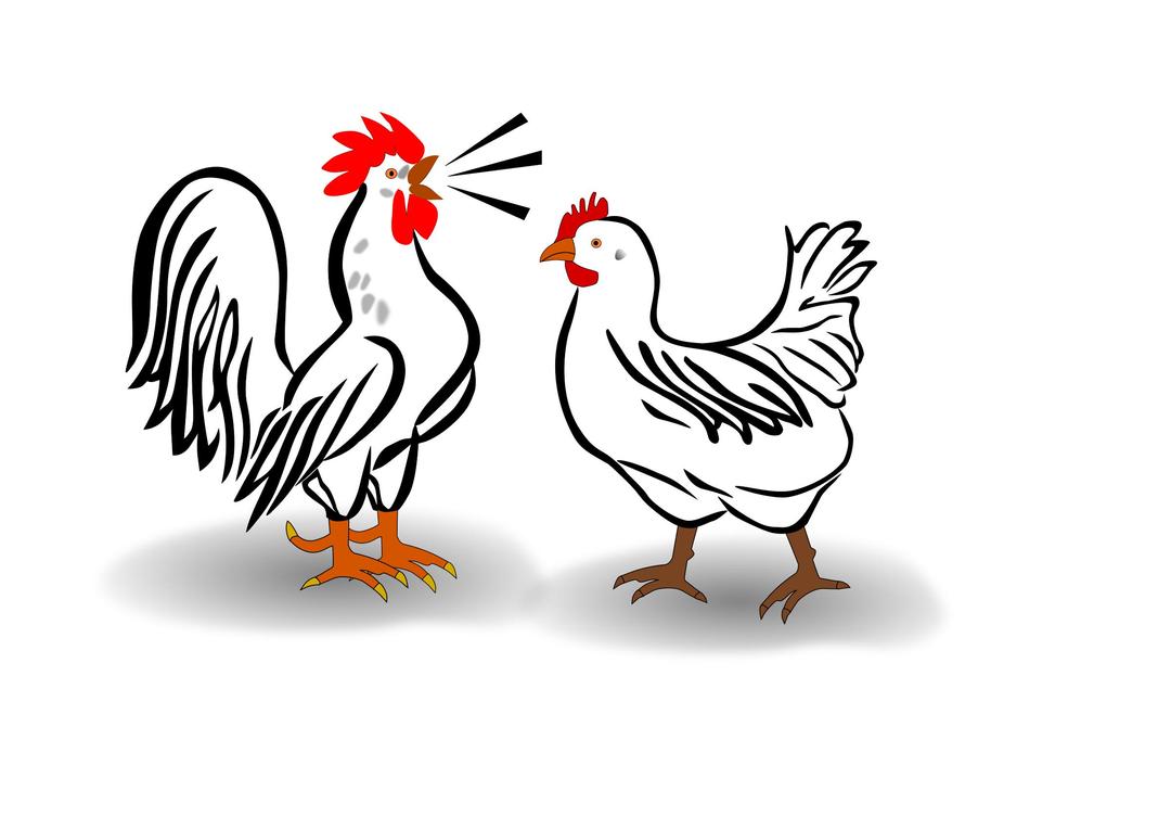 rooster and chicken png transparent