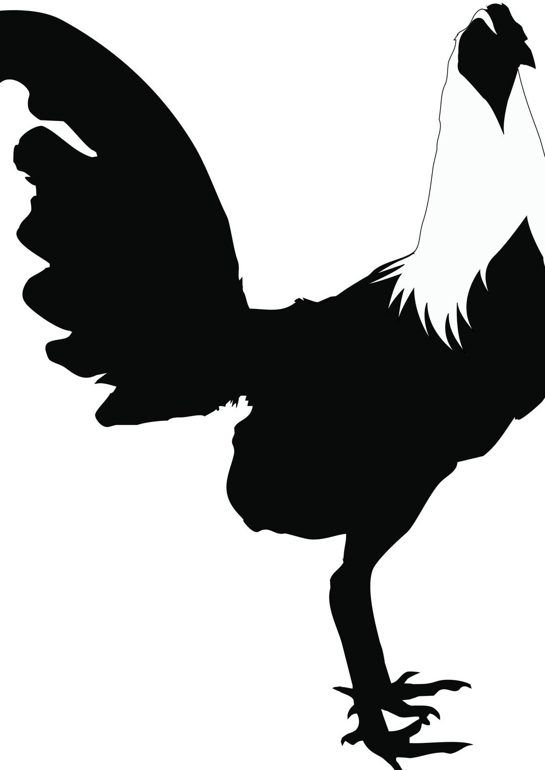 Rooster-Black&White png transparent