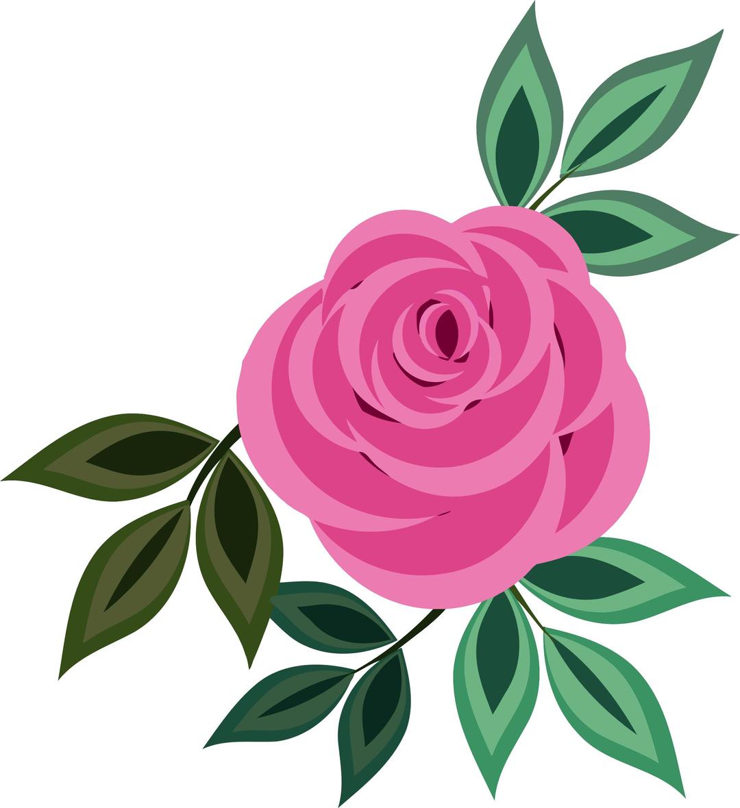 Rose 20 (pink) png transparent