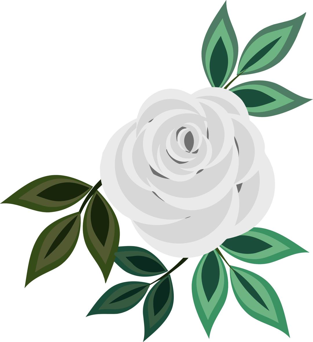 Rose 20 (white) png transparent