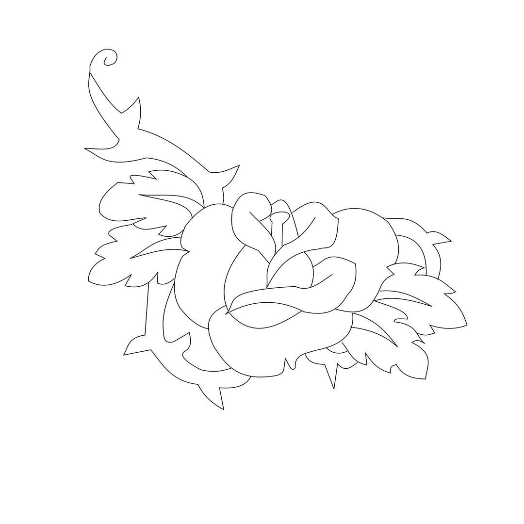 Rose to Color png transparent