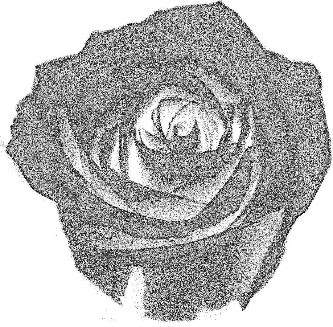 rose tone 1 png transparent
