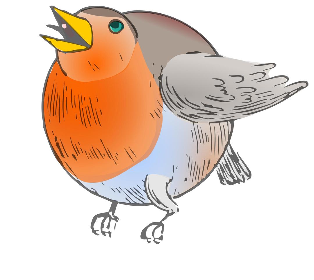 round robin - colored png transparent