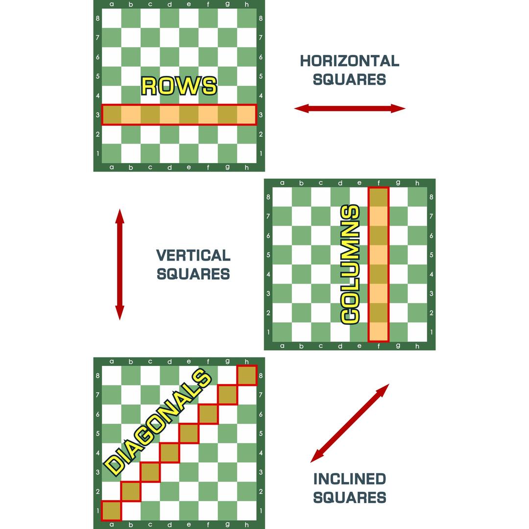 Rows - Columns and Diagonals - Chessboard png transparent