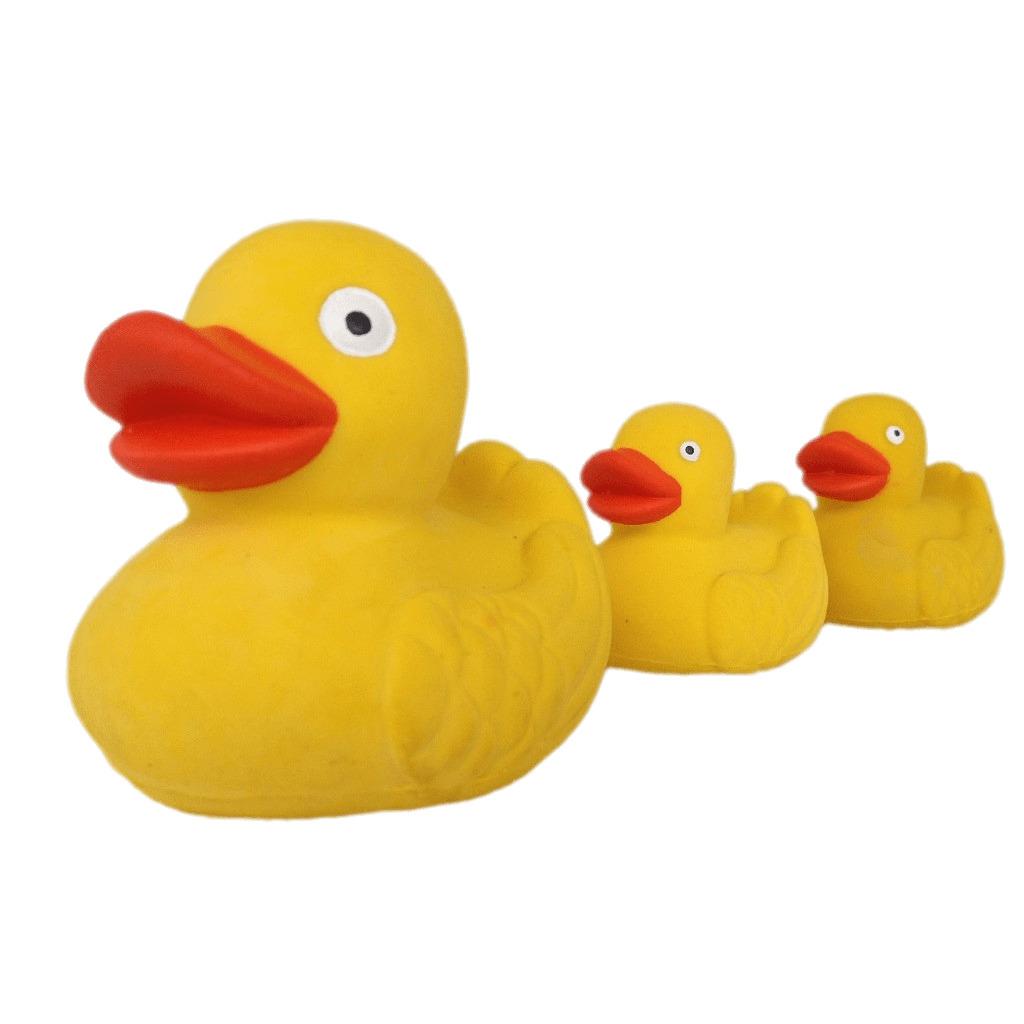 Rubber Duck Family png transparent