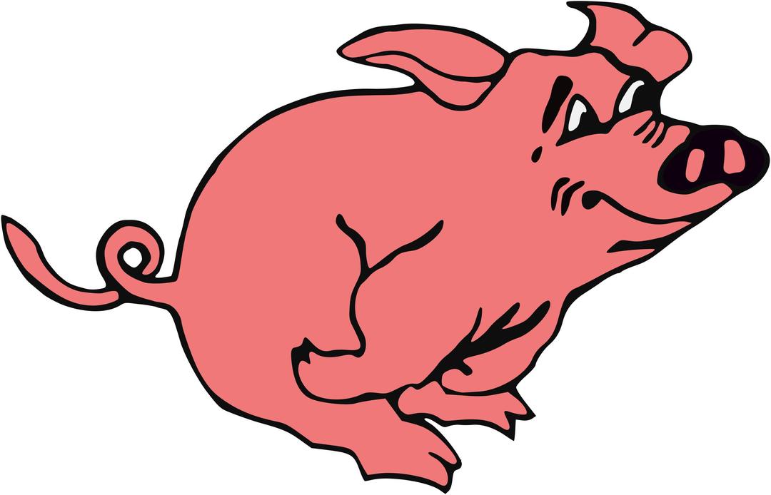 Running pig png transparent