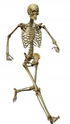Running Skeleton png transparent