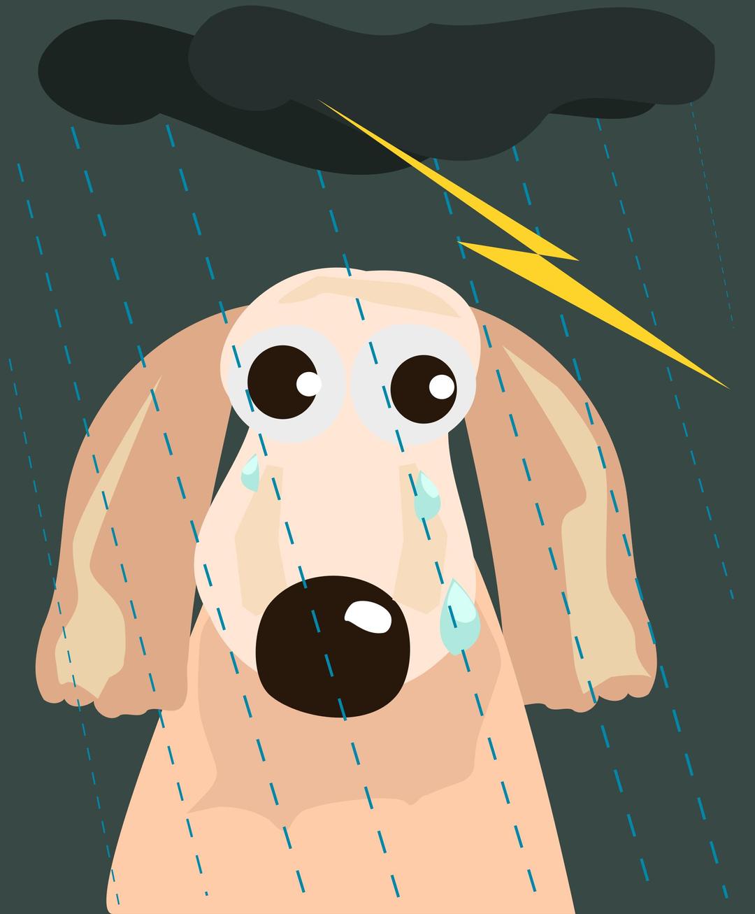 sad dog in the rain png transparent