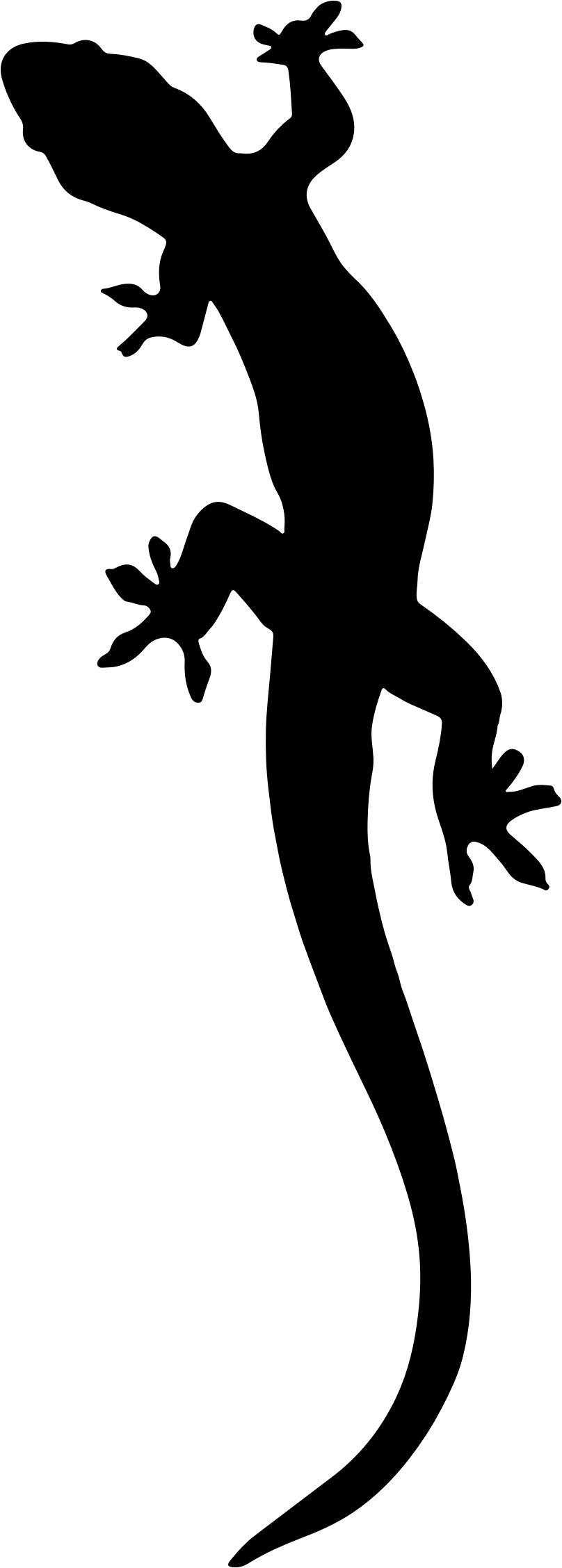 Salamander Silhouette png transparent