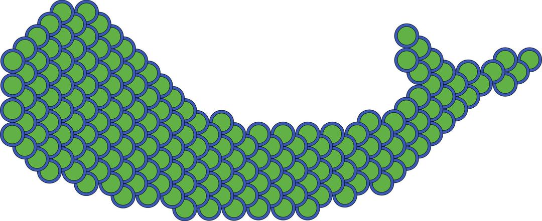 Scales flattened onto fish png transparent