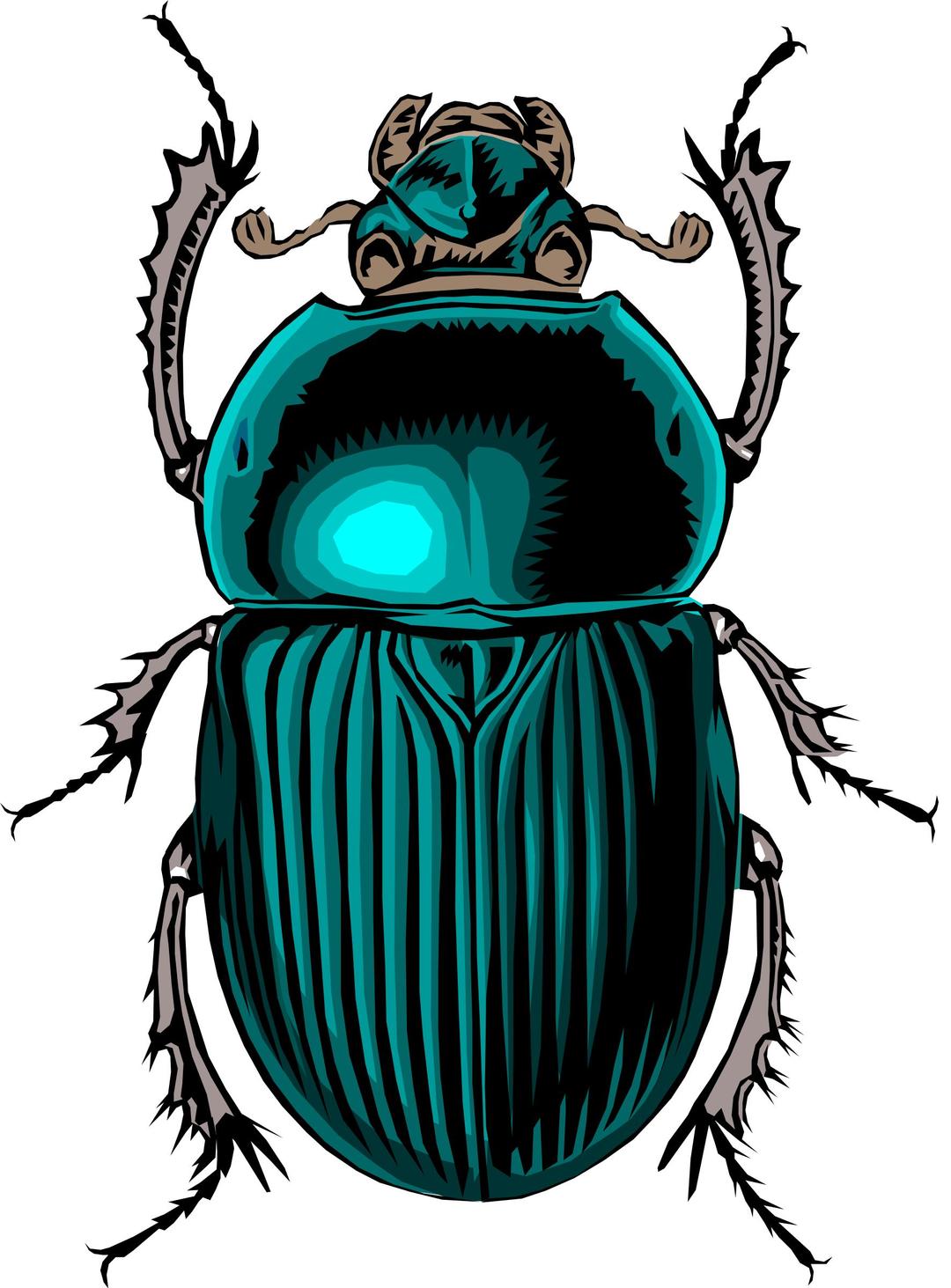 scarabe png transparent