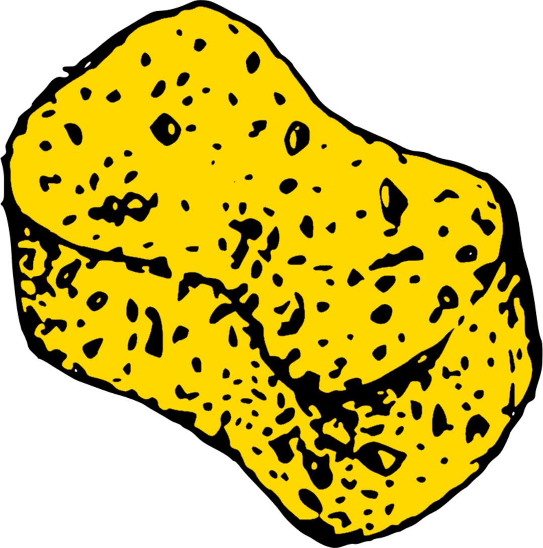 Schwamm col (sponge) png transparent