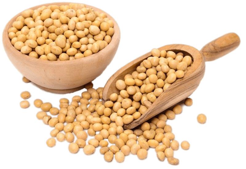 Scoop and Bag Of Dried Soybeans png transparent