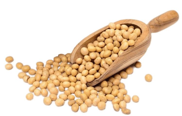 Scoop Of Dried Soybeans png transparent