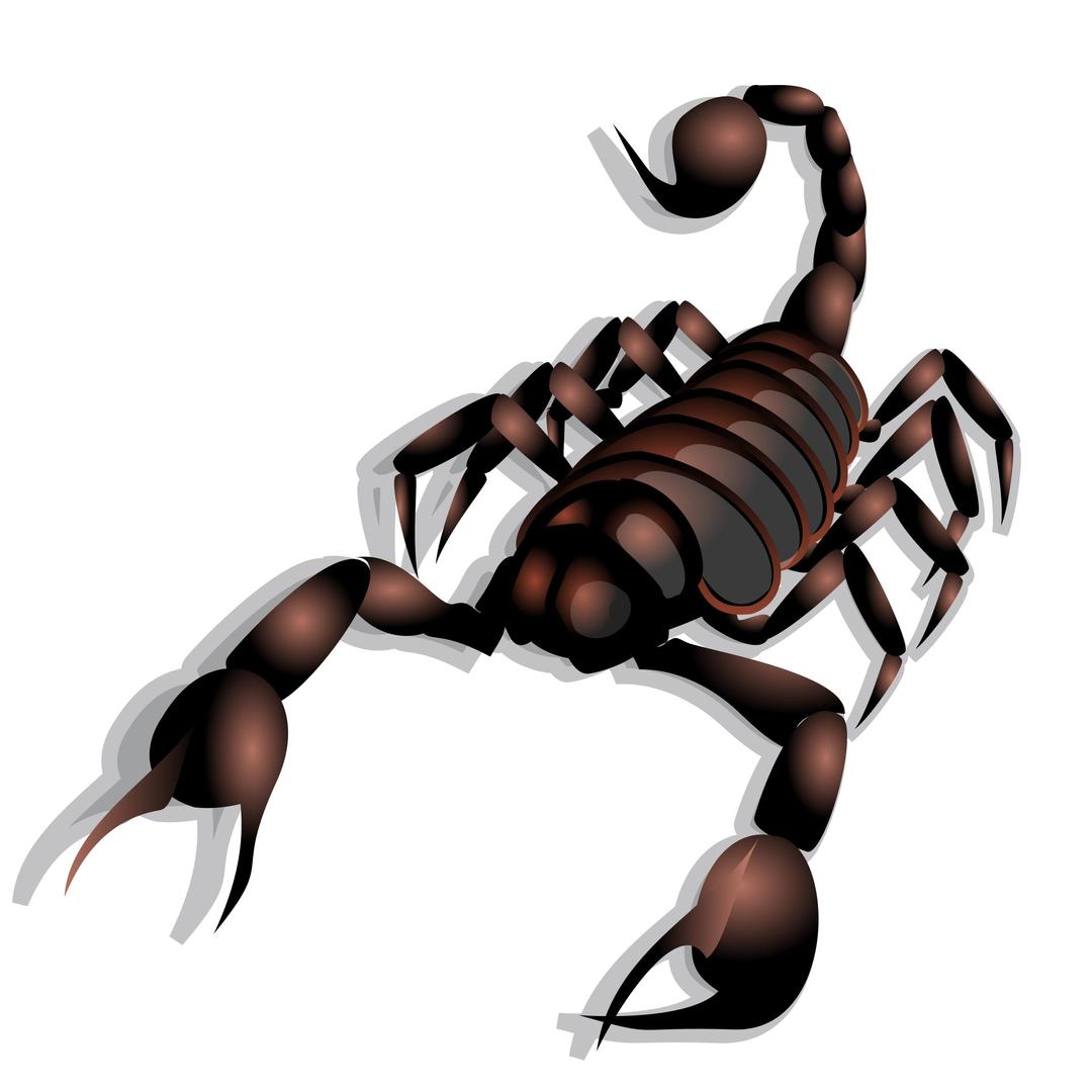 Scorpion png transparent
