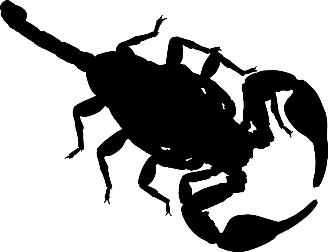 Scorpion Silhouette 2 png transparent