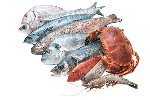 Seafood Collection png transparent