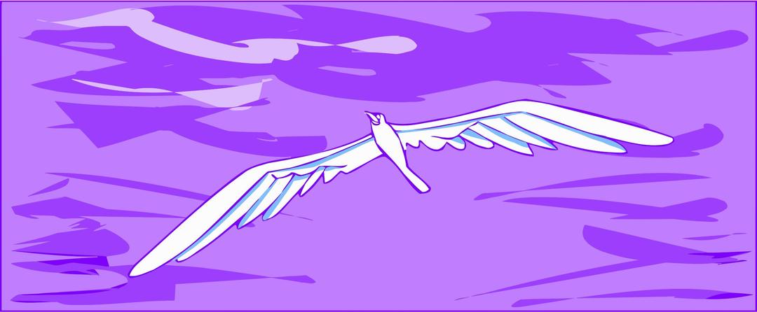 Seagull 1 png transparent